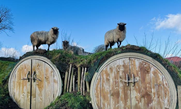 Built into a grassy bank near the eco lodges, the round wooden log stores feature double doors and blend naturally with the landscape. Topped with roa